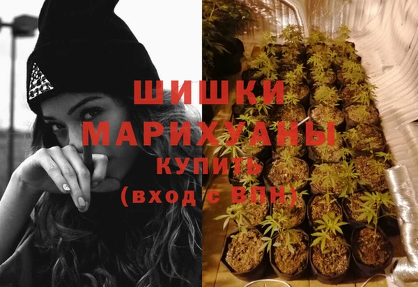 первитин Богданович