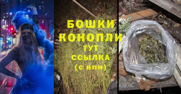 первитин Богданович