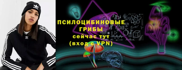 первитин Богданович
