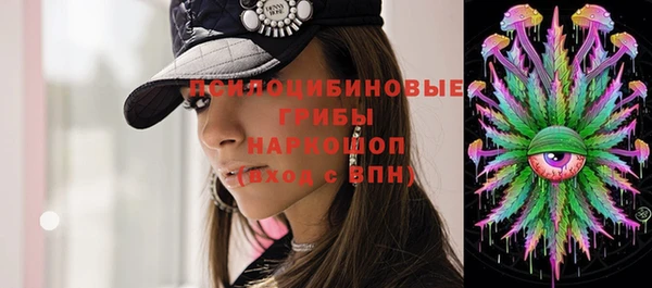 прущая мука Богородицк
